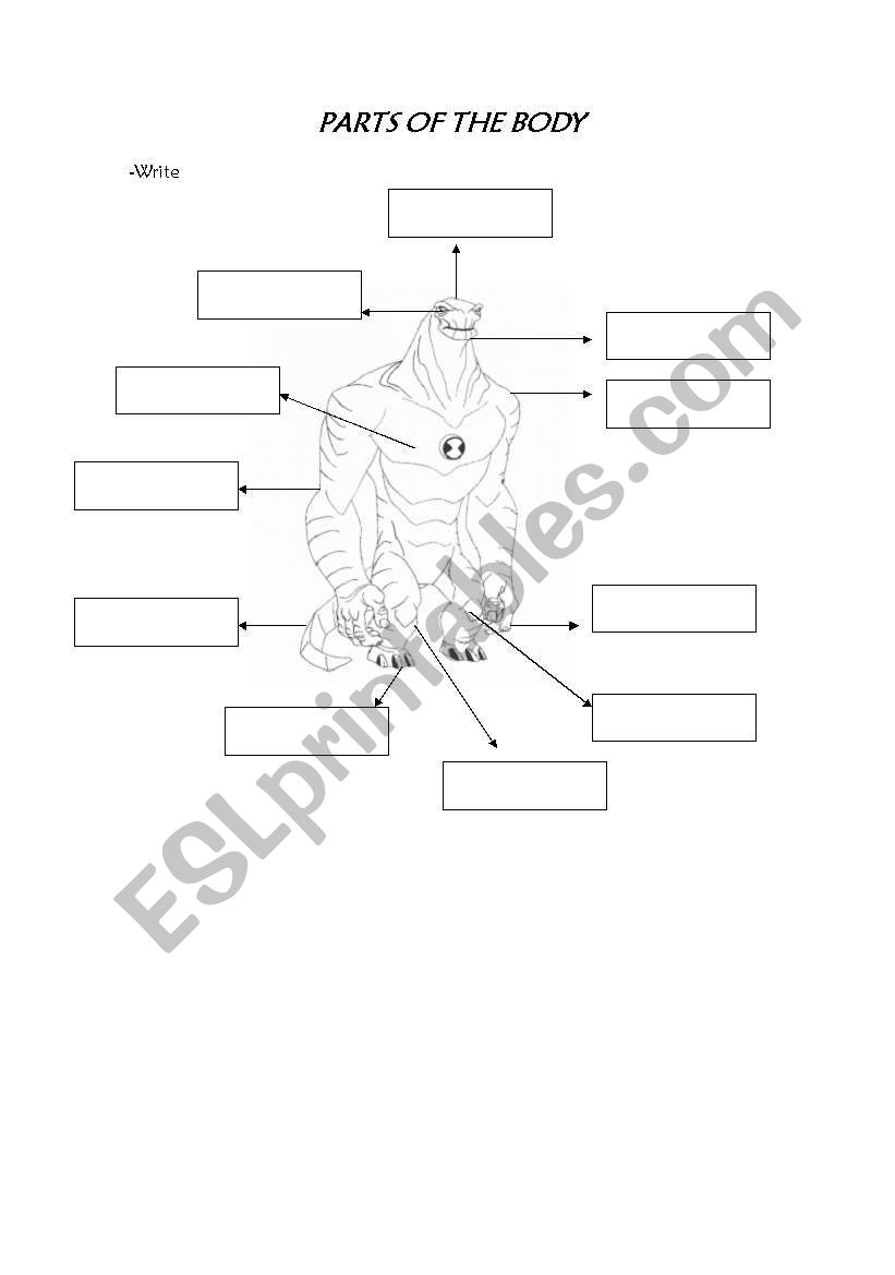 Parts of the body worksheet