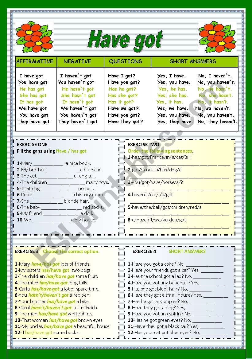 Have Got Worksheet Printable