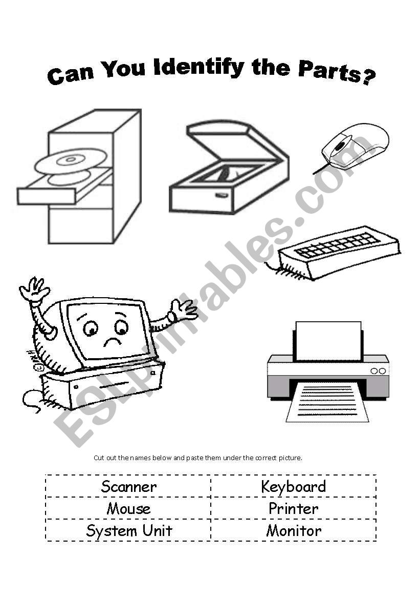 Can You Identify the Parts worksheet