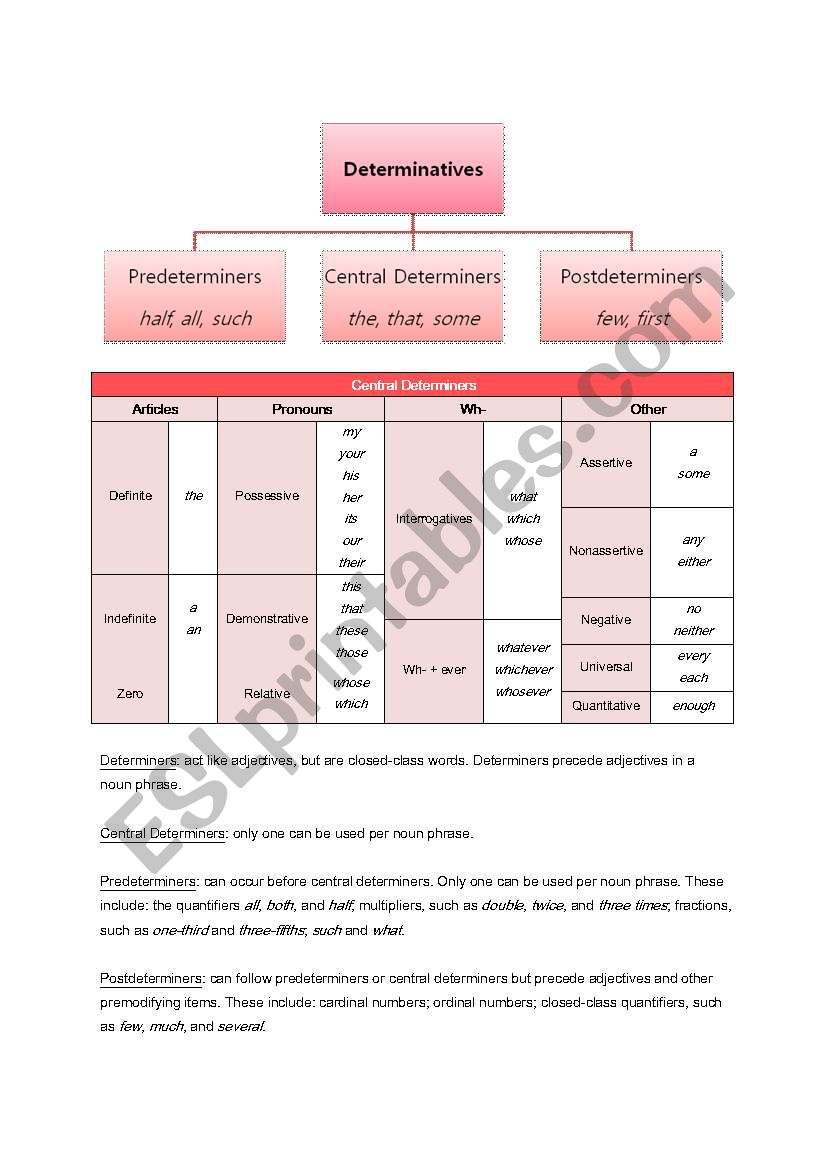 A Guide to Determiners worksheet