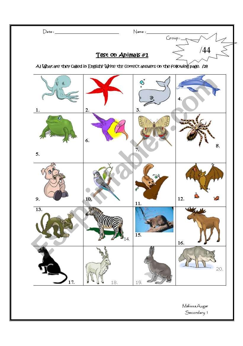 Test on Animals worksheet