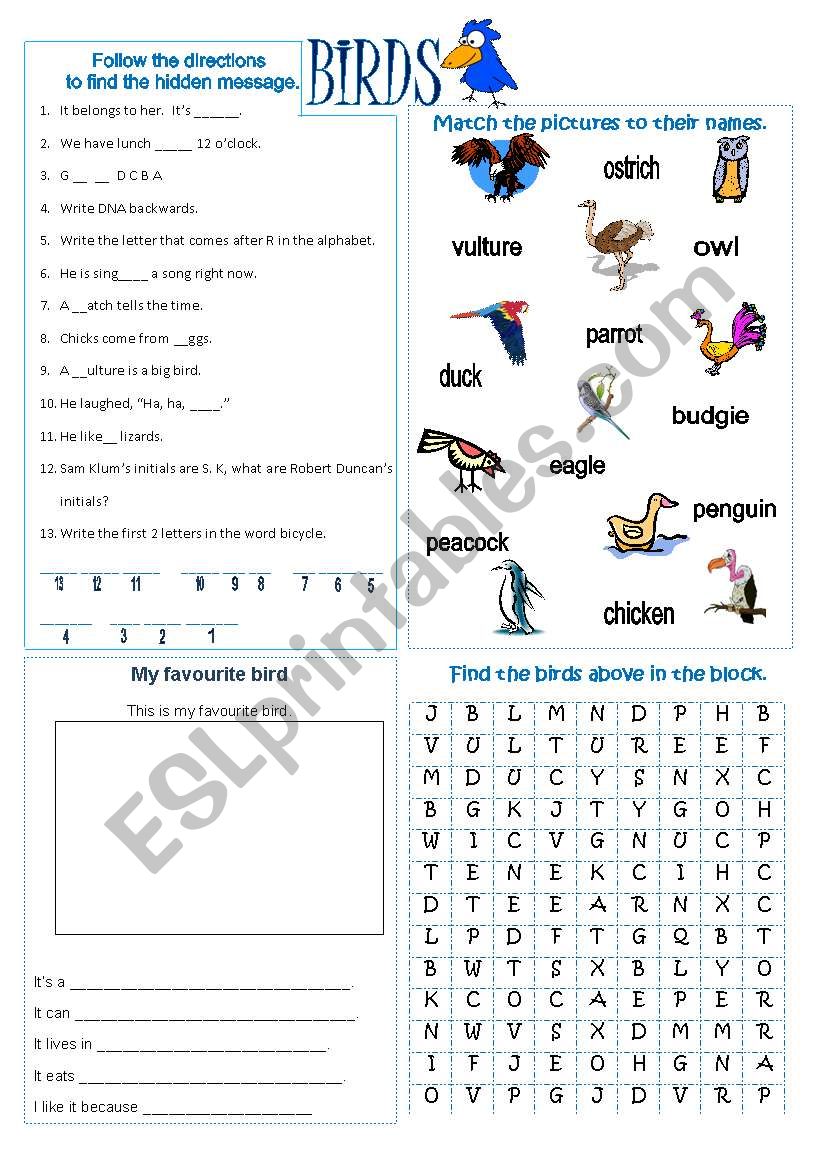 Types of Animals: Birds worksheet