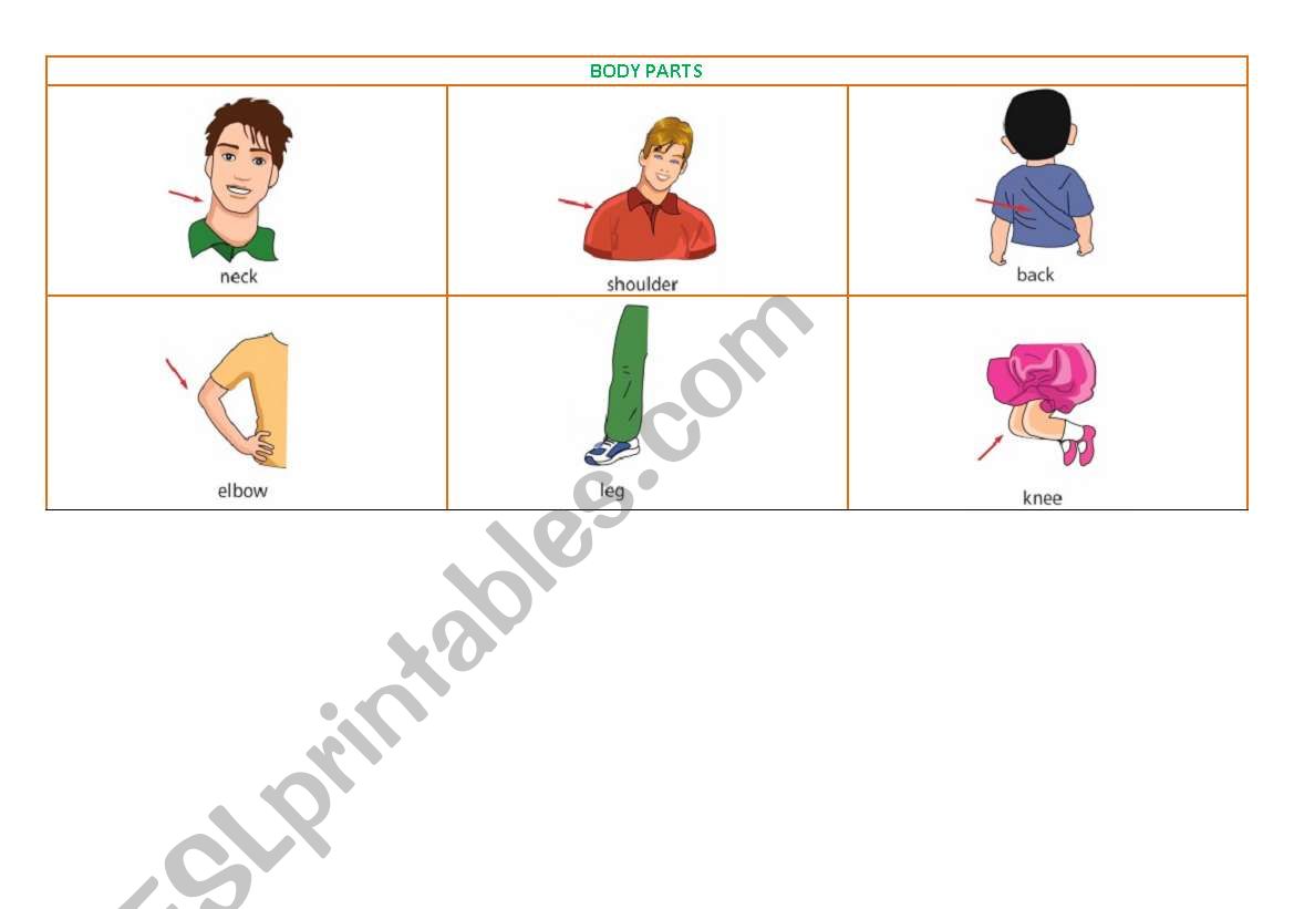 Body Parts worksheet