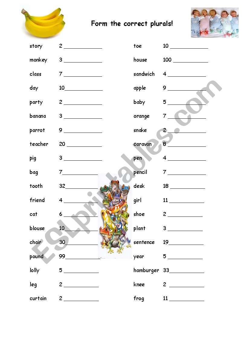 Form the correct plurals! worksheet