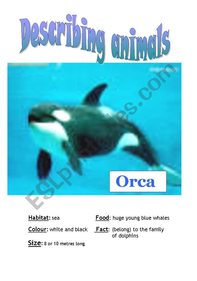 Describing animals (SPEAKING CARD)