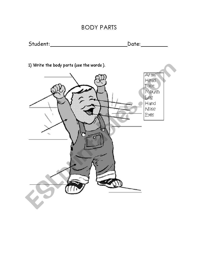 body parts worksheet