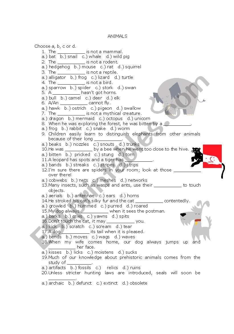 The world of animals worksheet