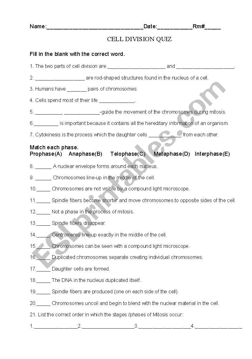 Cell division worksheet