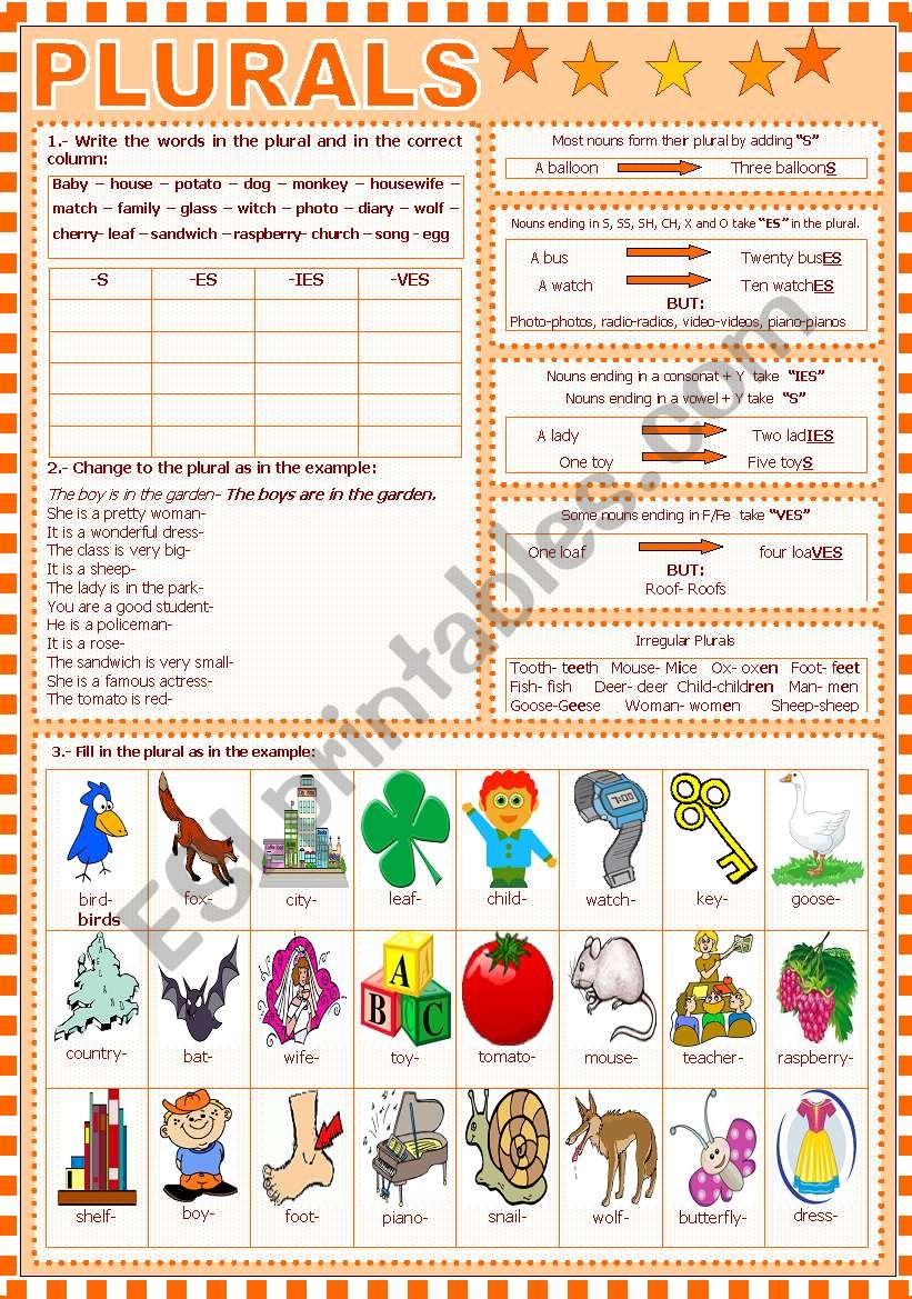 PLURALS worksheet