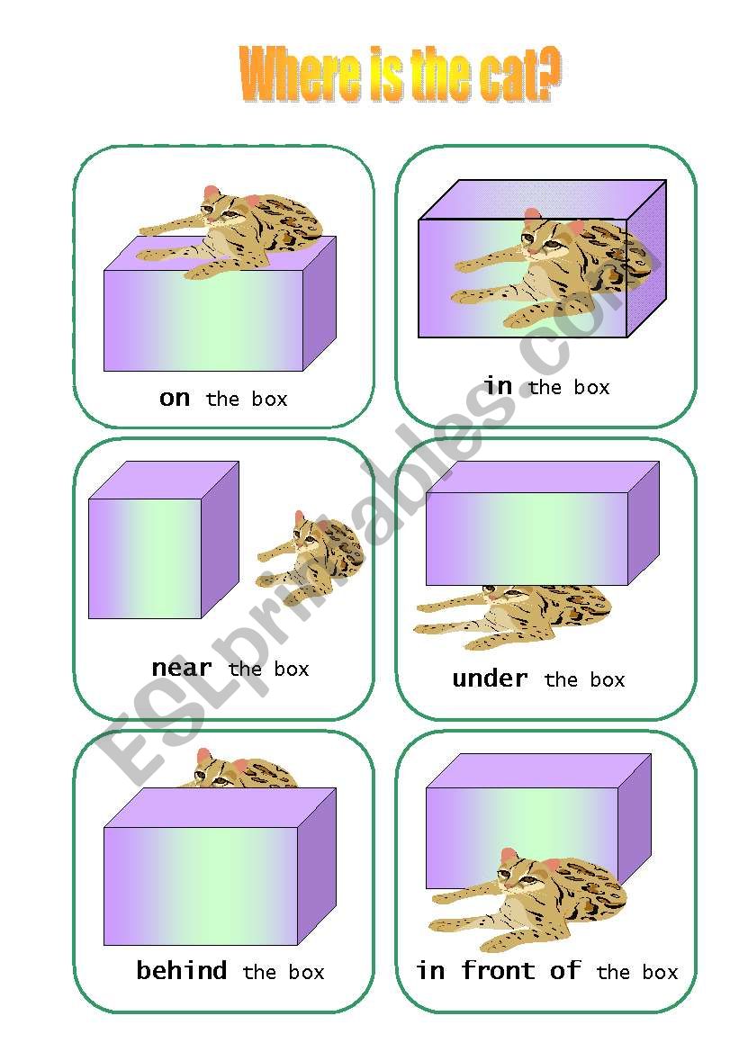 Preposition of place (editable, B&W version incl.)