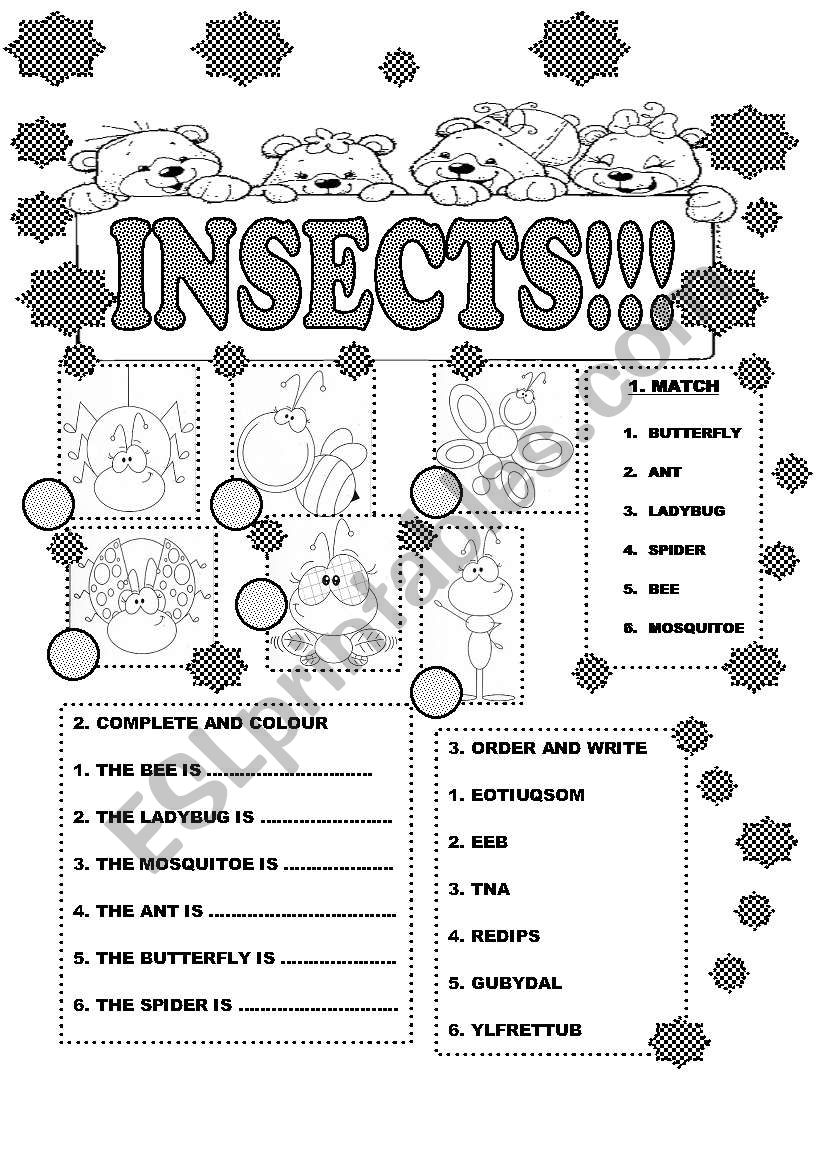INSECTS FOR LITTLE KIDS/ GET FUN