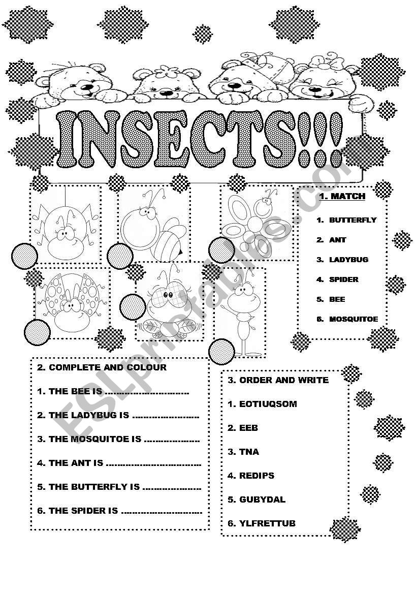 INSECTS FOR LITTLE KIDS/ GET FUN