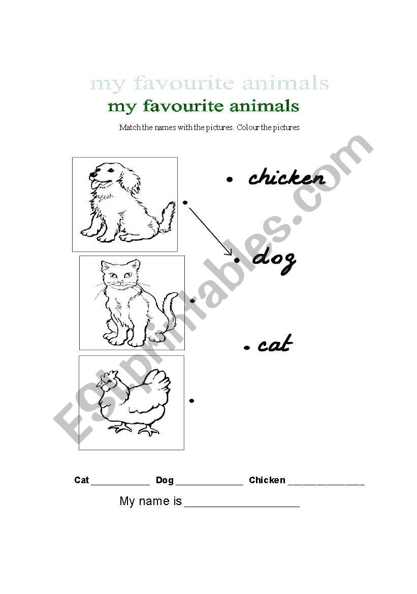 Favourite animals - 1st Graders