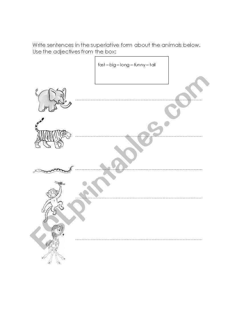 Wild Animals worksheet