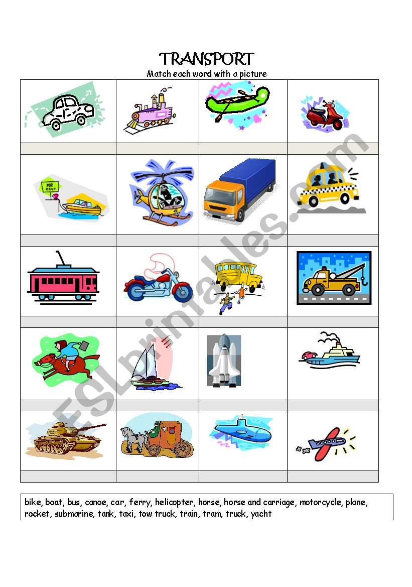 Transport worksheet