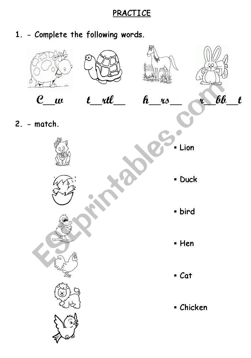 animals worksheet