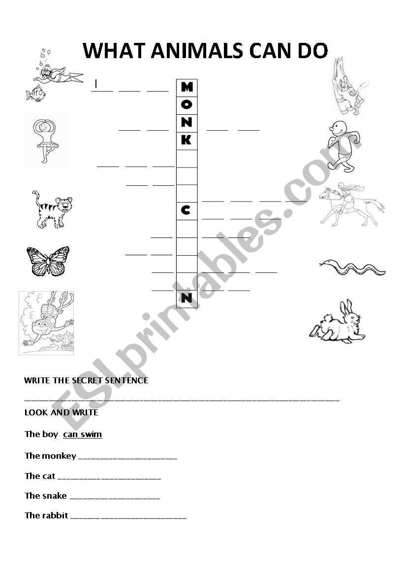 What animals can do worksheet