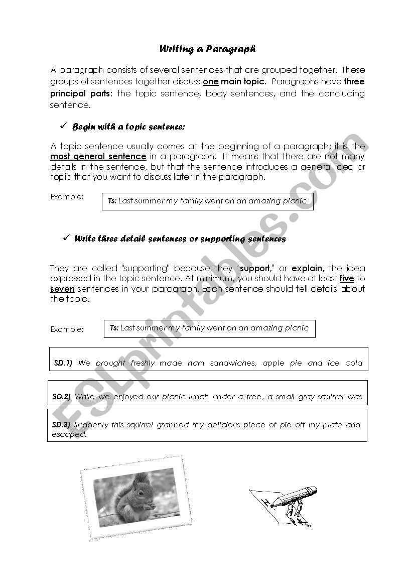 How to write a paragraph worksheet