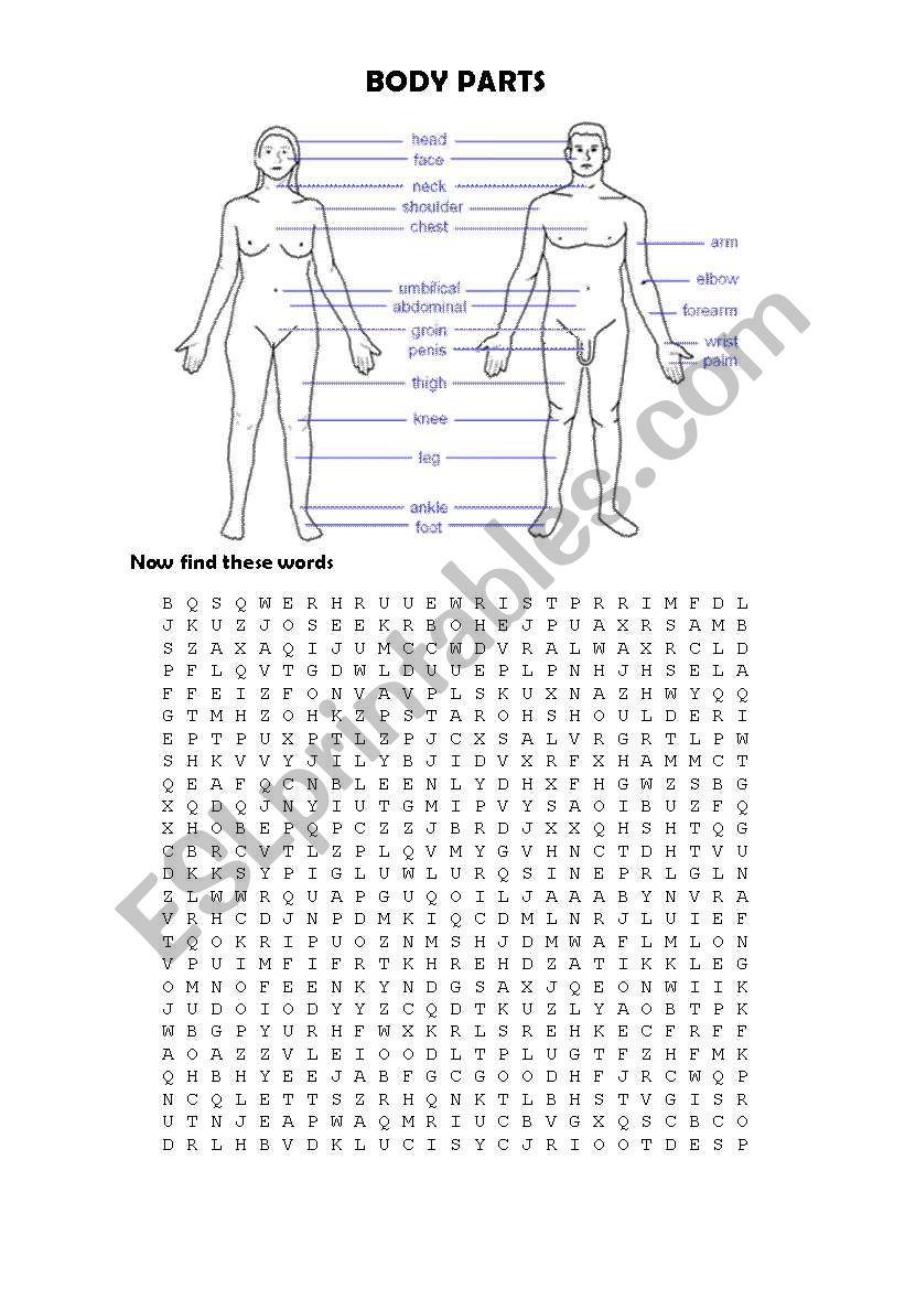 Body Parts - Word Search worksheet