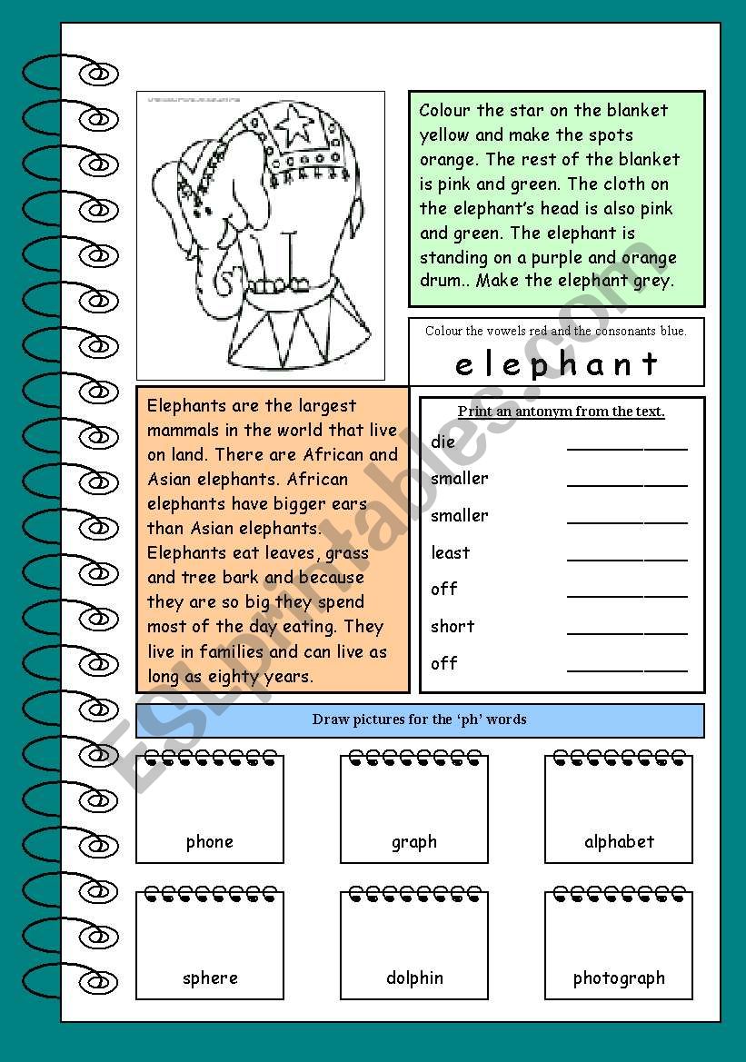 Working with words worksheet