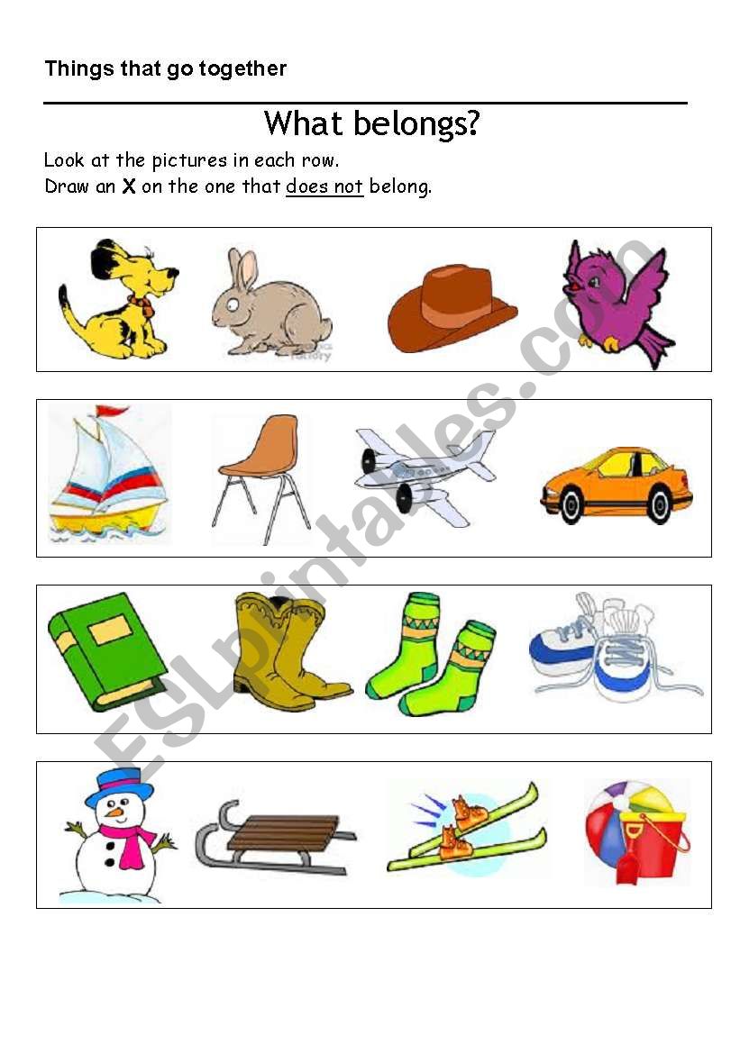 What belongs worksheet