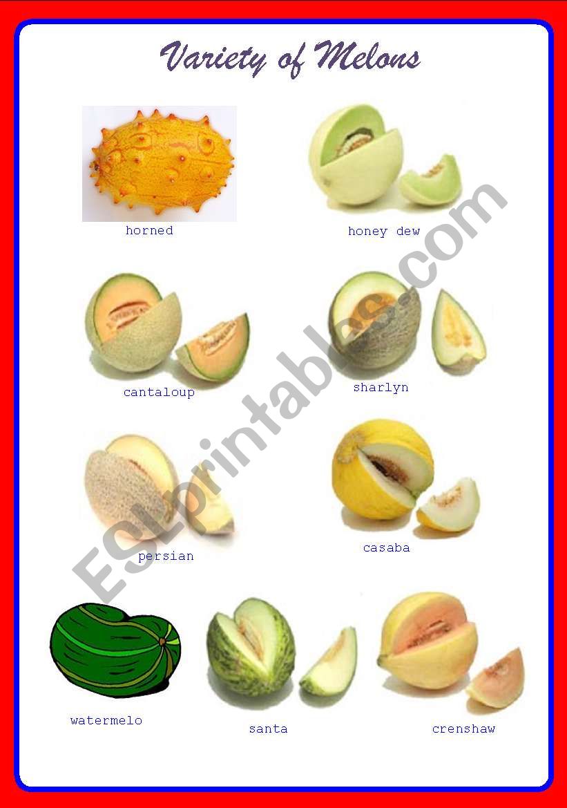 Variety of Melons ** fully editable