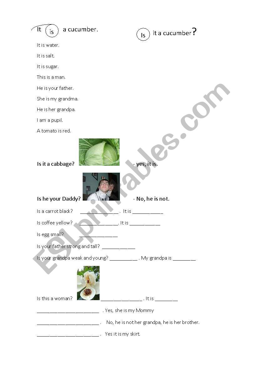 Simple questions worksheet