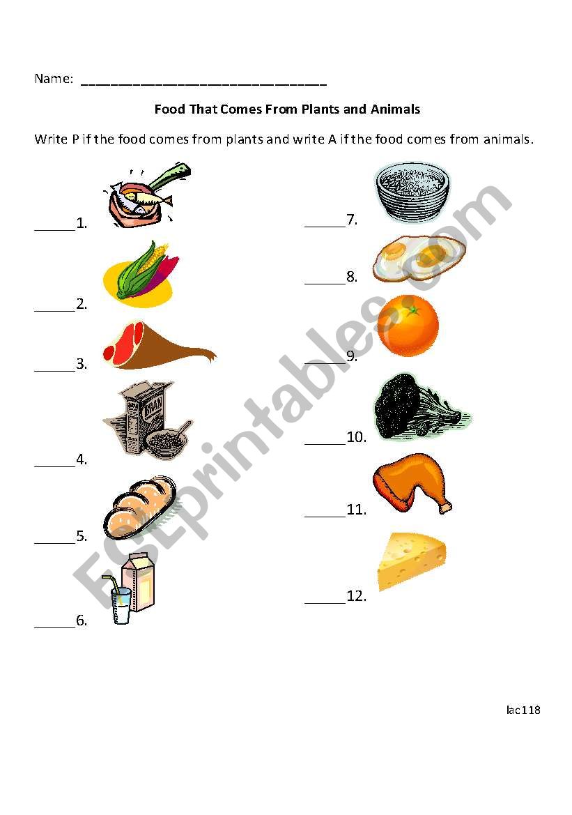 English Worksheets Foods That Come From Plants And Animals