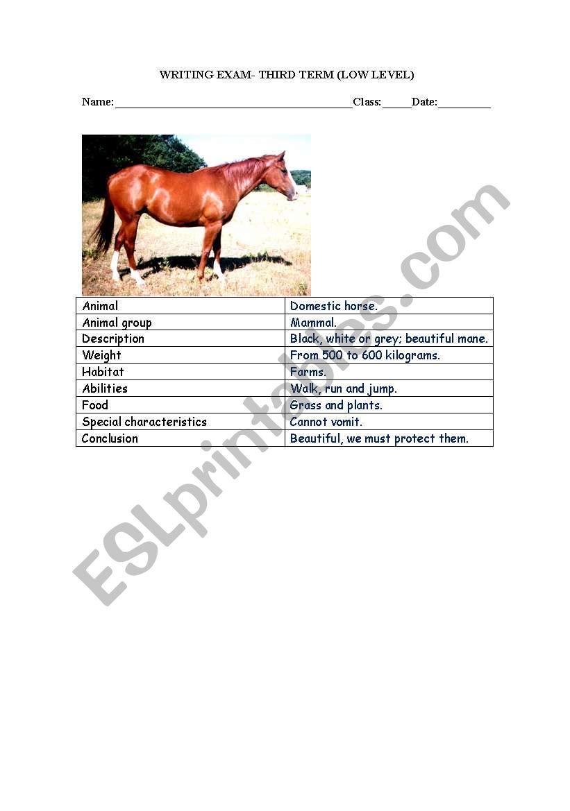 ANIMAL DESCRIPTION worksheet