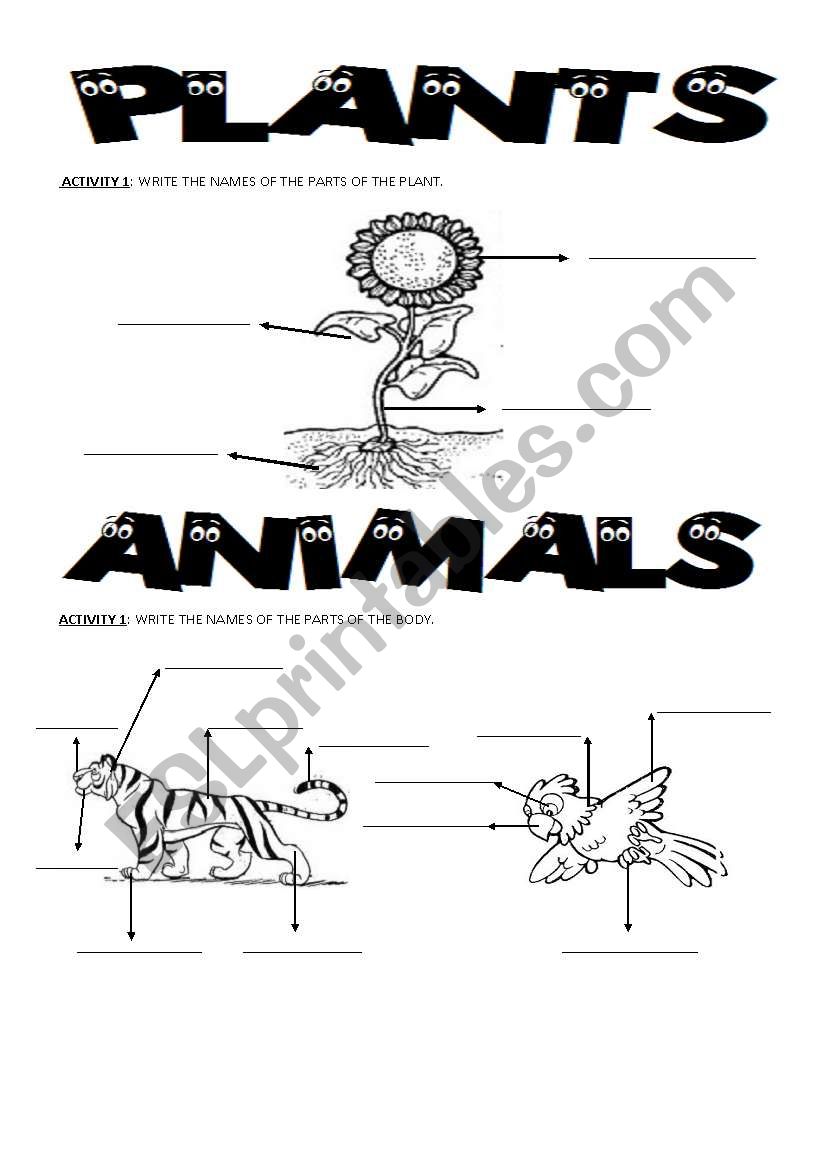 plants and animals worksheet