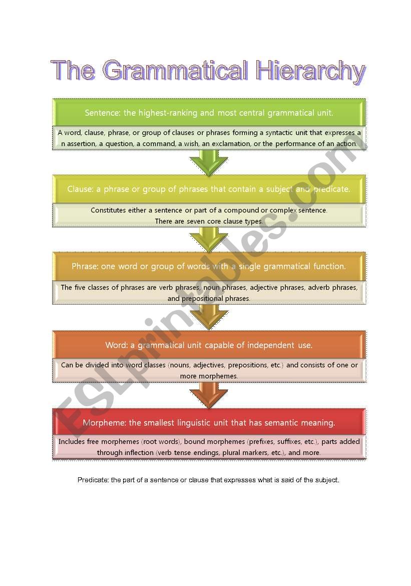 The Grammatical Hierarchy (the components of a sentence)