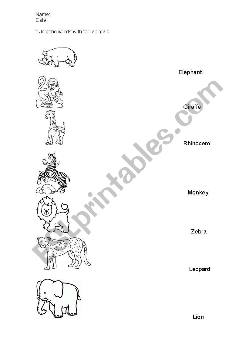 wild animals worksheet