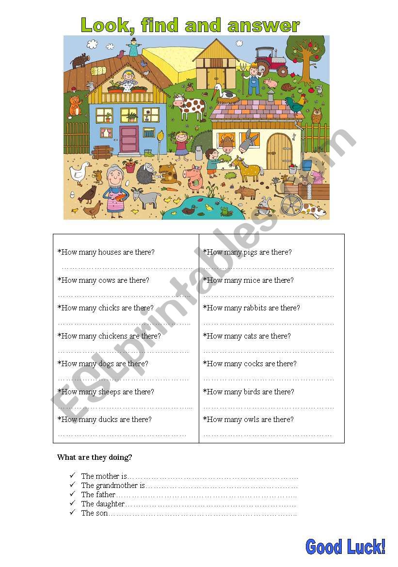 look, find and answer worksheet