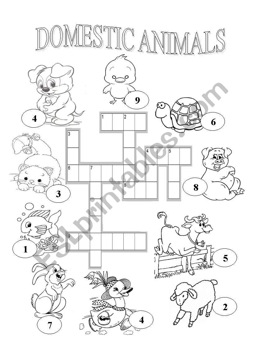 DOMESTIC ANIMALS worksheet