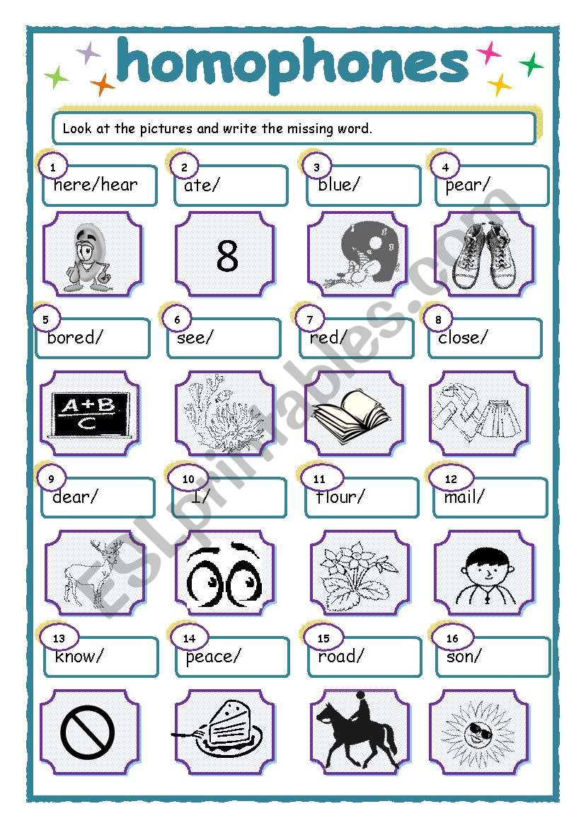 Homophones worksheet