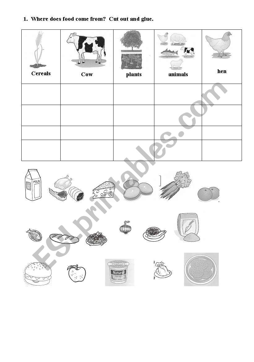 Where does food come from? worksheet