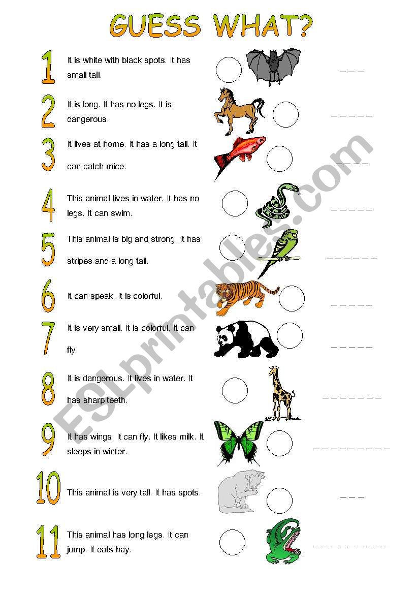 Animals worksheet