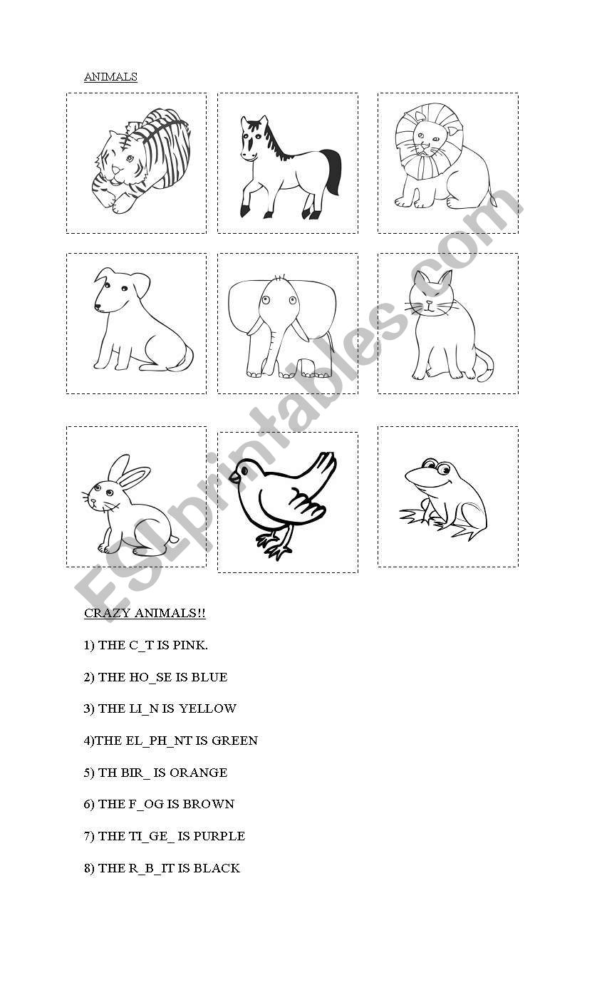 animals worksheet