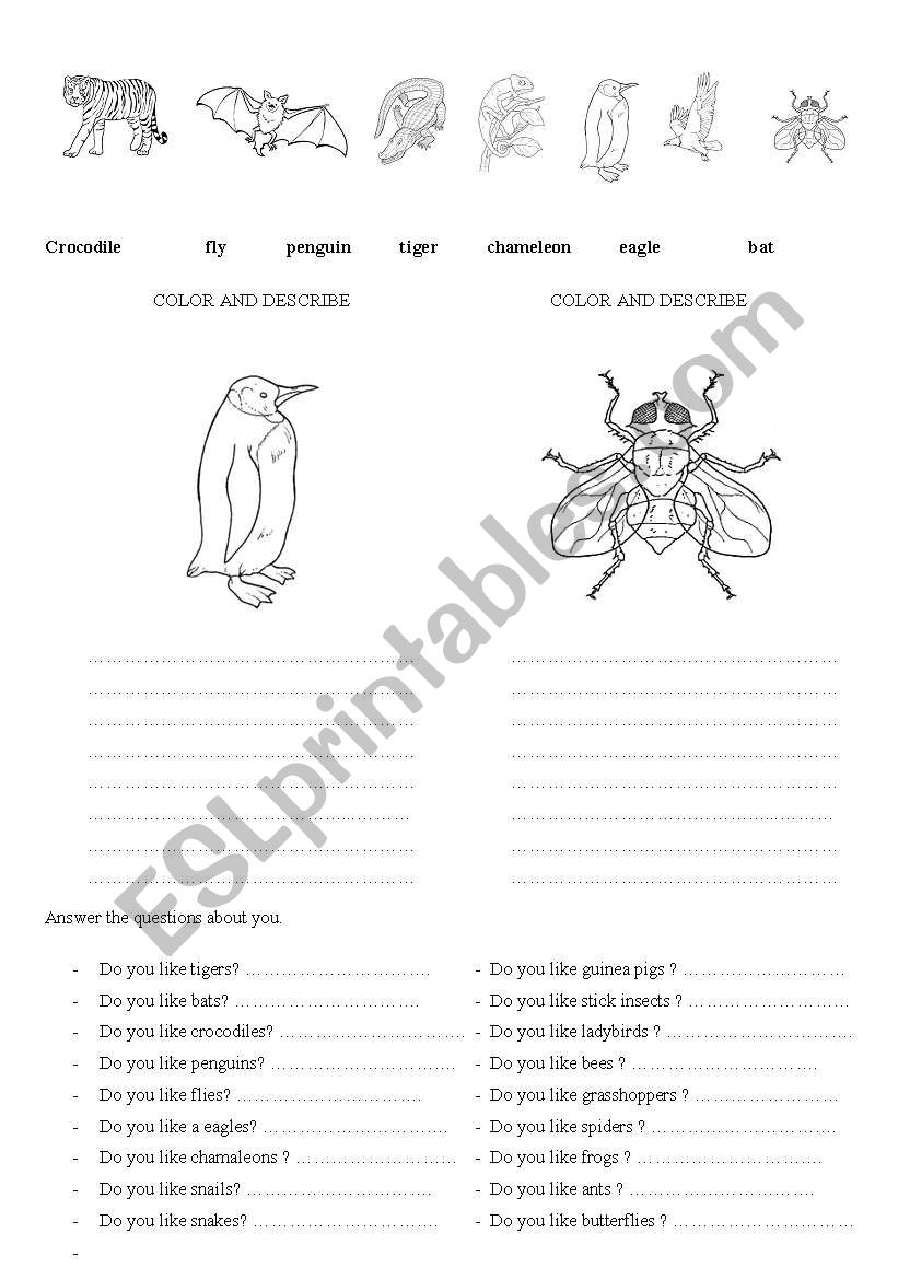 Animals and insects worksheet