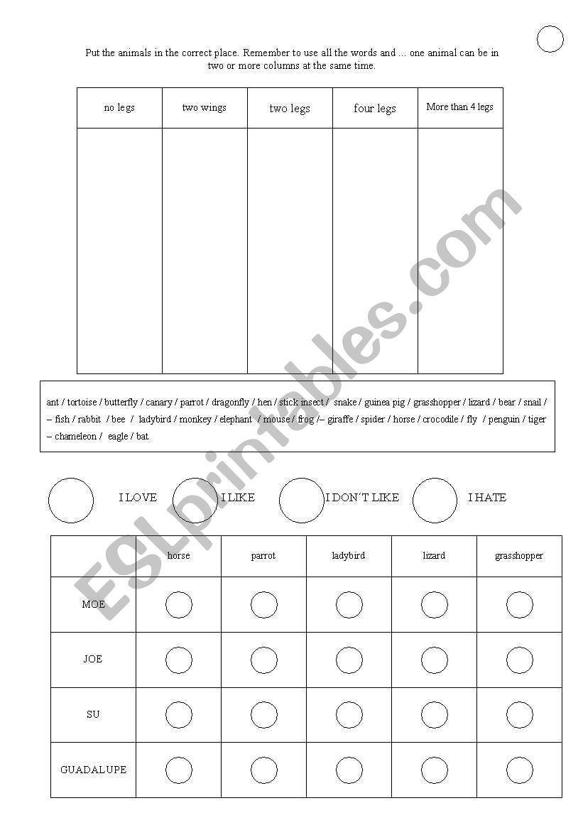 Animals and insects worksheet