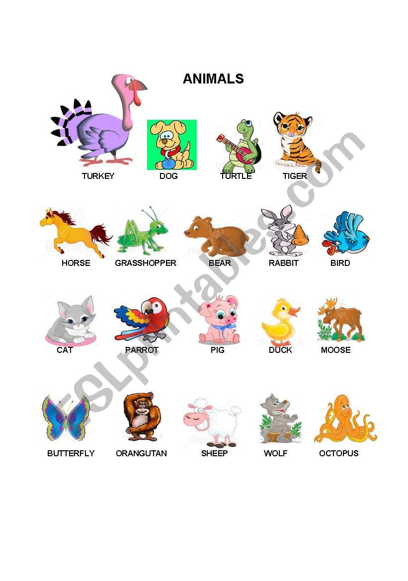 vocabulary of the animals... worksheet