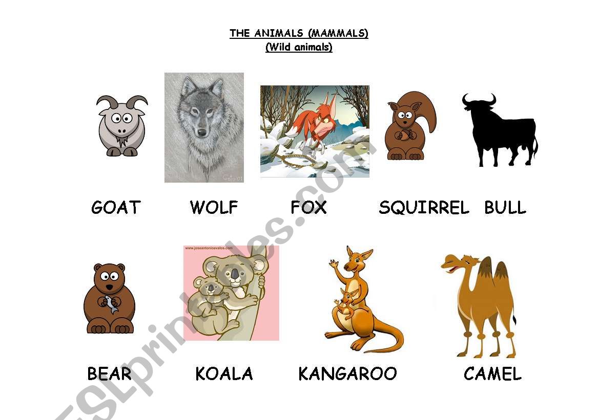 THE ANIMALS (MAMMALS) (B) worksheet