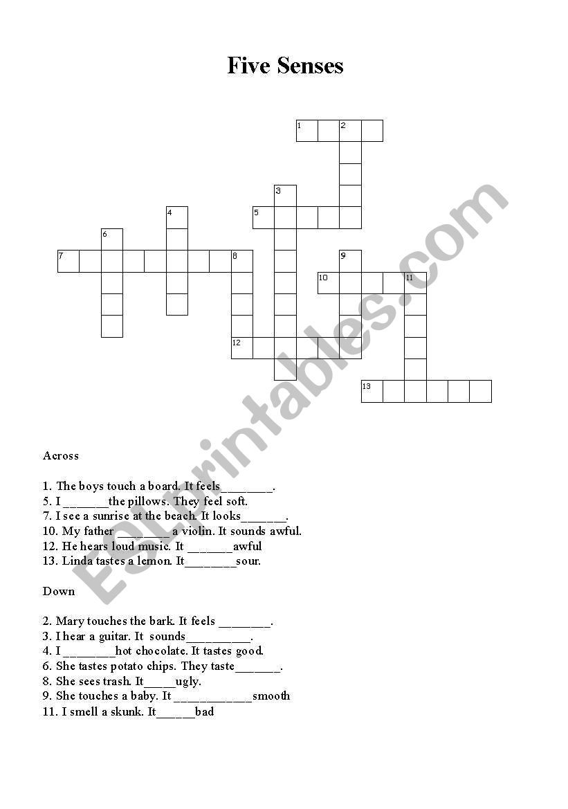 Five sense worksheet