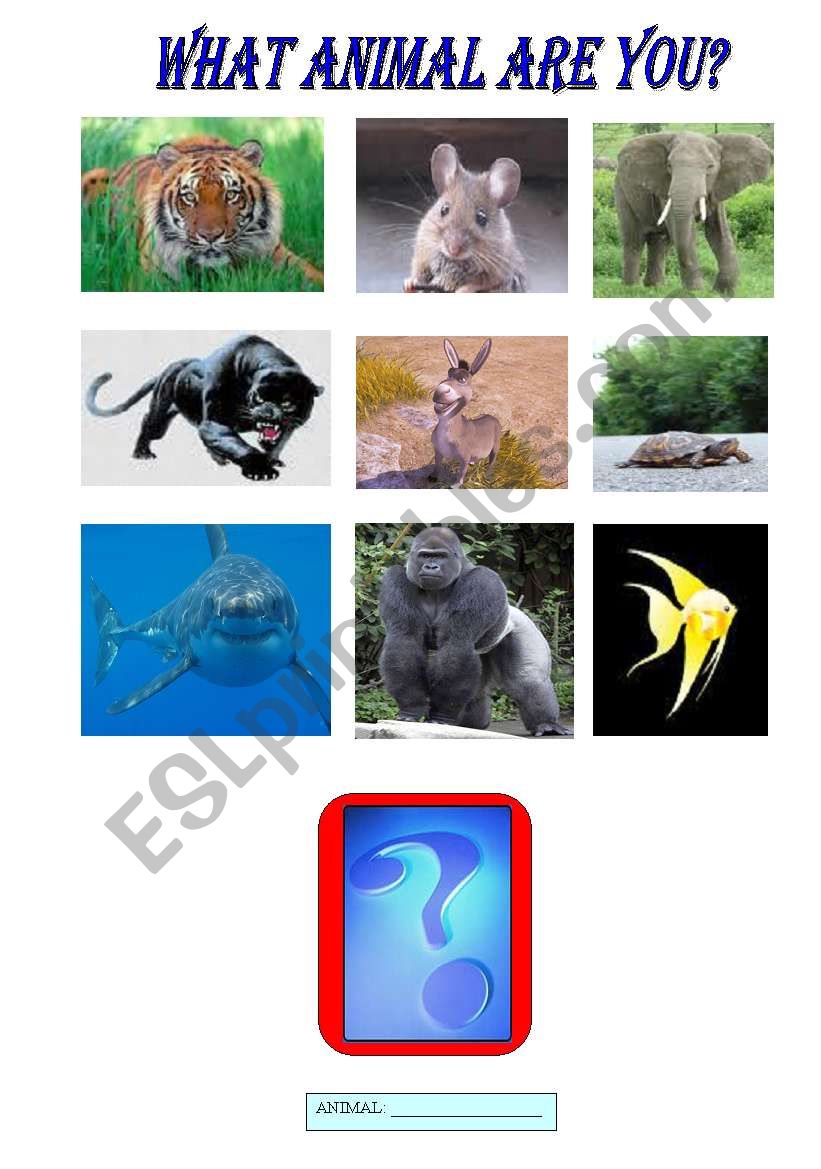 what animal are you? worksheet