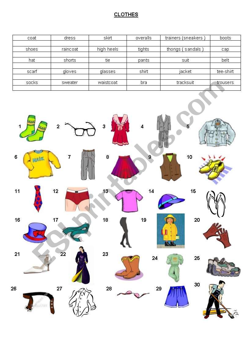 clothes worksheet