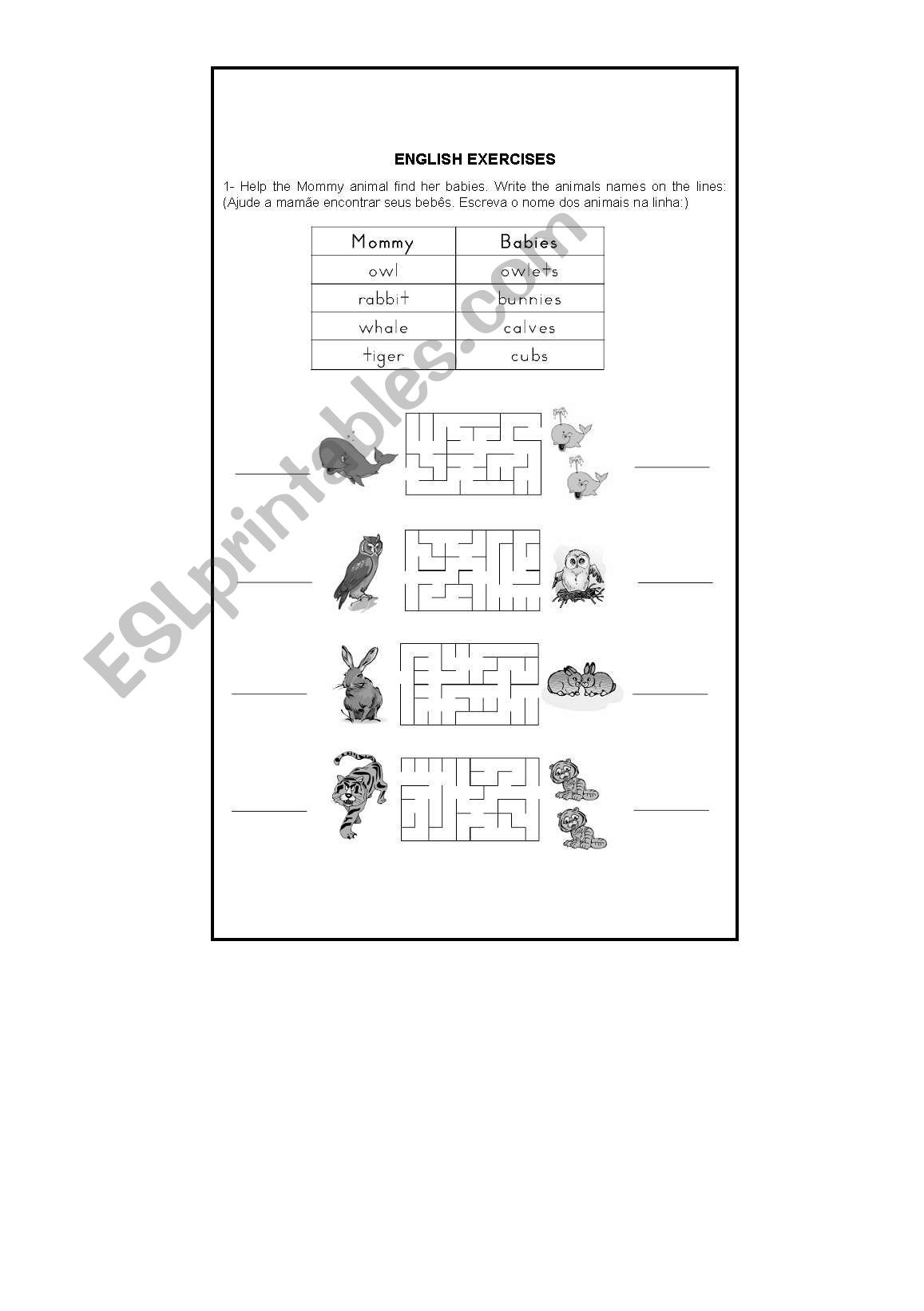 Animals worksheet