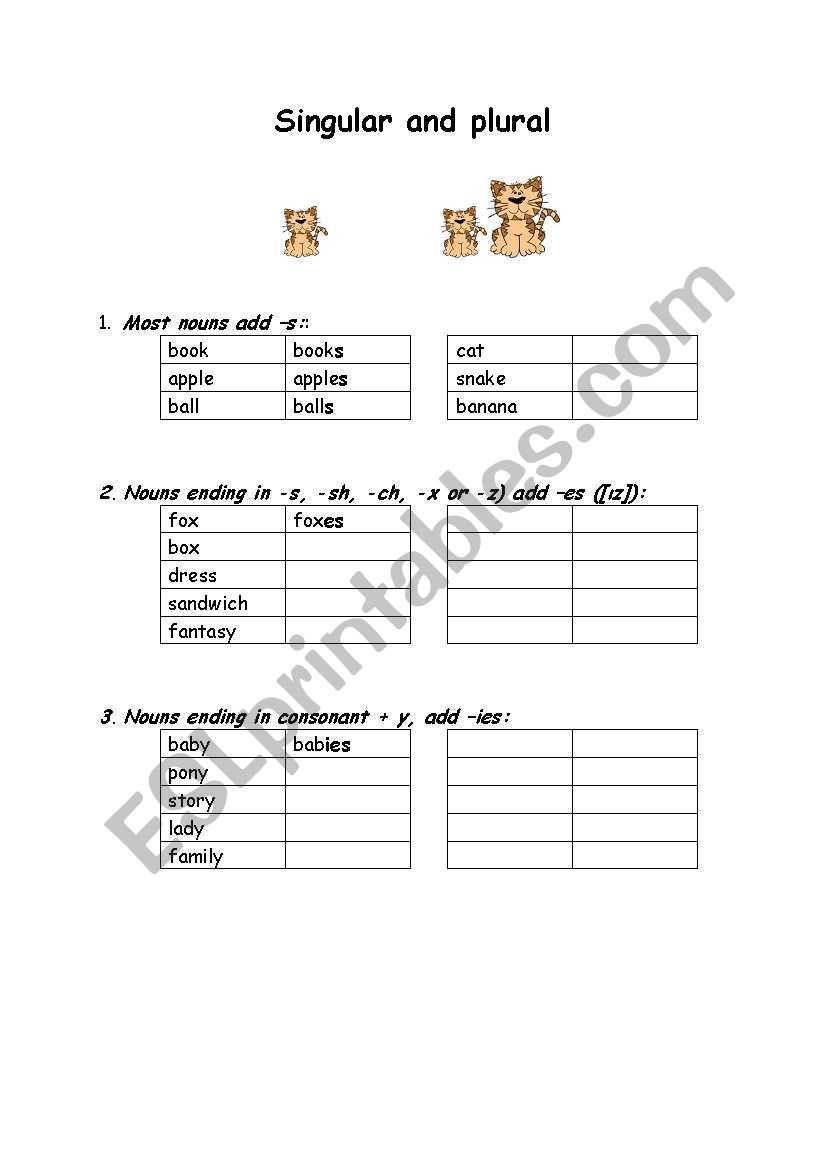 Singular and plural worksheet