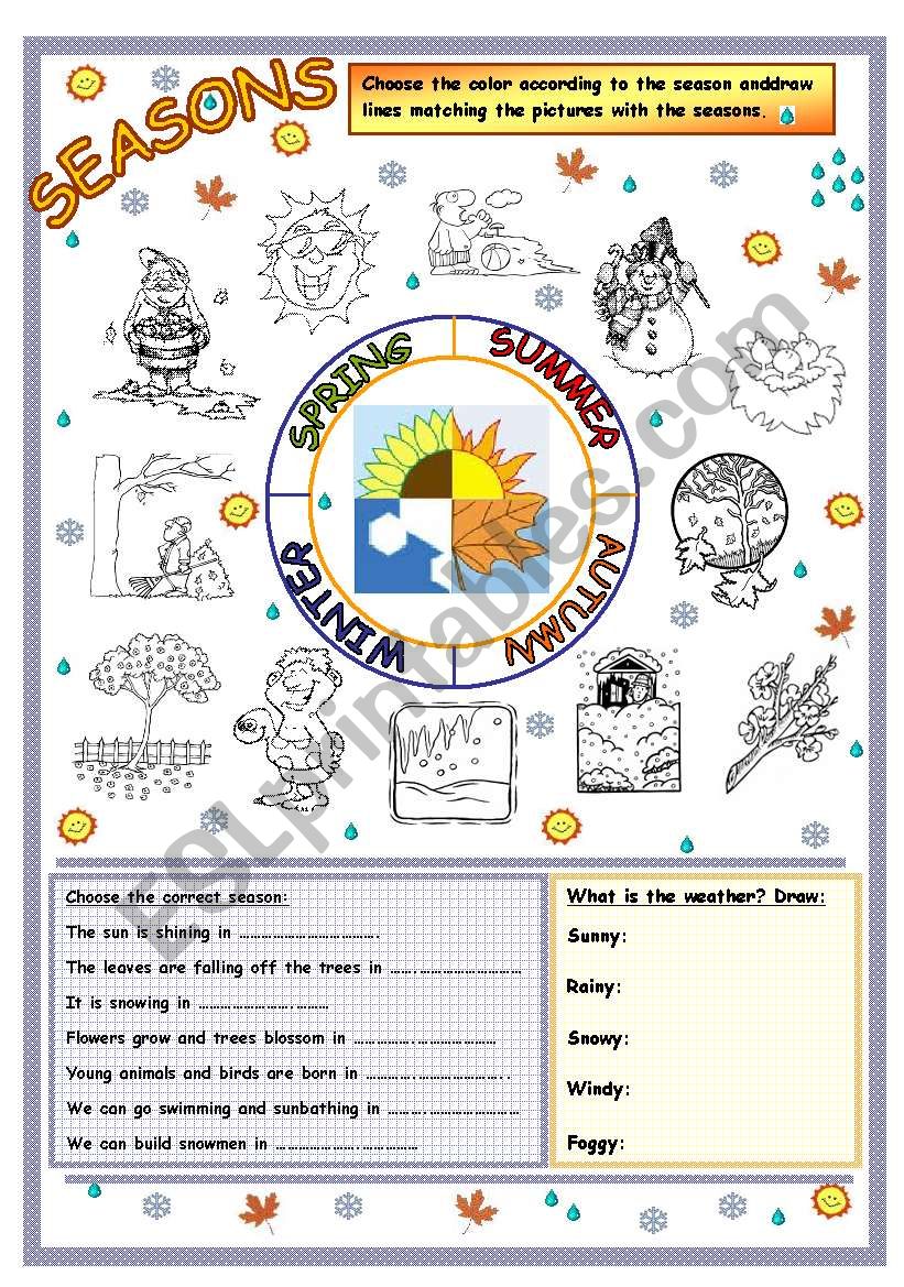 Seasons worksheet