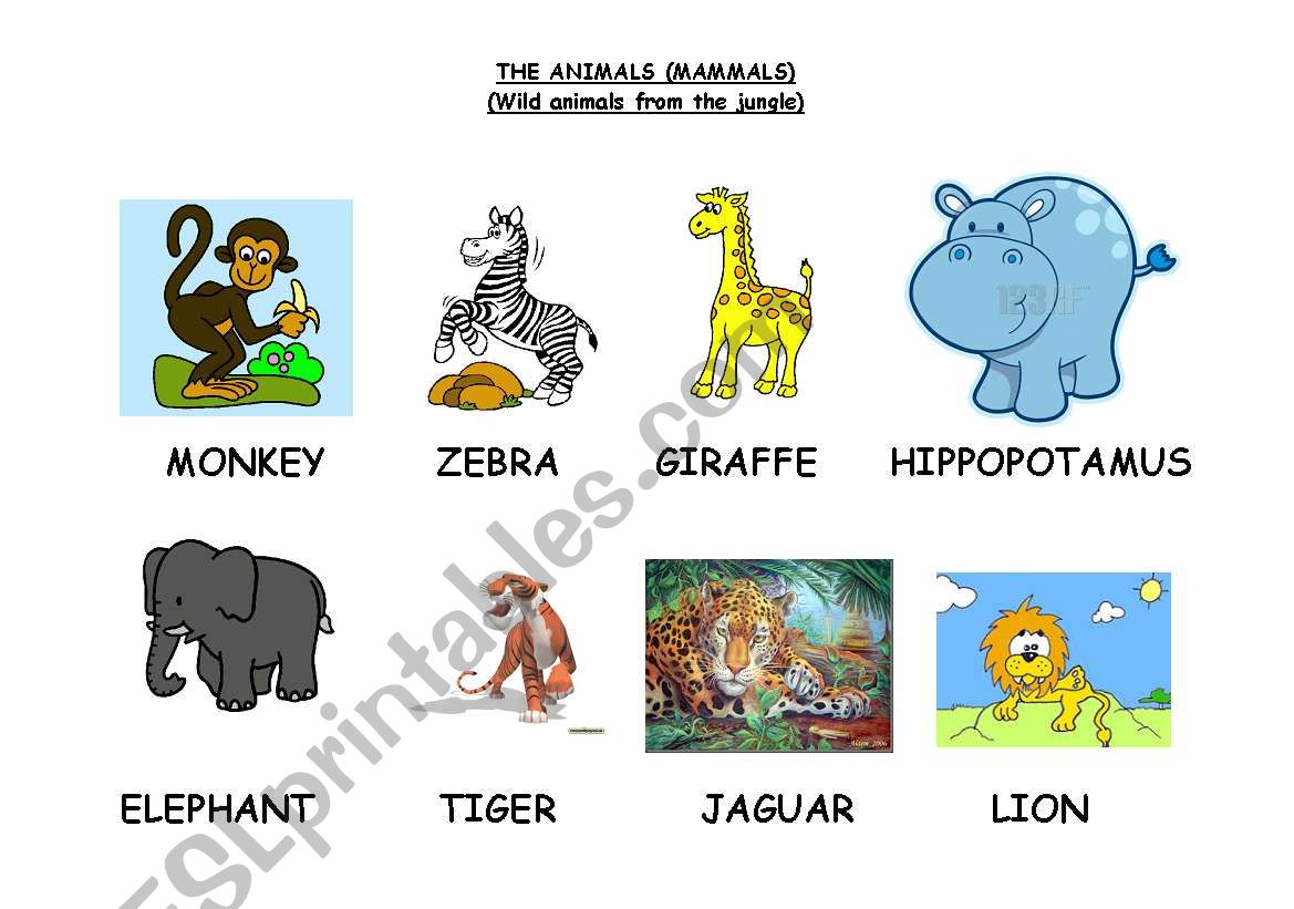 THE ANIMALS (MAMMALS) (C) worksheet