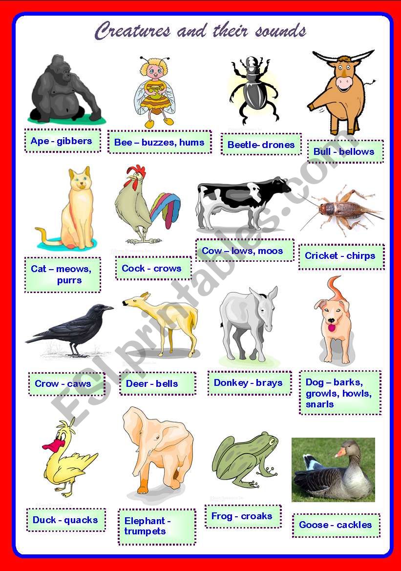 Creatures and their sounds Part 1 of 2 ** fully editable